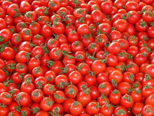 Tomates Coulis Cœur de bœuf - 5kg